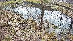 mizubasho6-20250405085029.jpg
