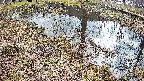 mizubasho6-20250405090028.jpg