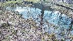 mizubasho6-20250405092030.jpg