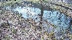 mizubasho6-20250405093030.jpg