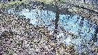 mizubasho6-20250405094029.jpg