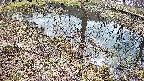 mizubasho6-20250405095030.jpg