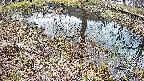 mizubasho6-20250405101032.jpg