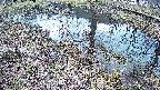 mizubasho6-20250405102031.jpg