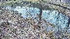 mizubasho6-20250405103032.jpg