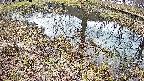 mizubasho6-20250405104027.jpg