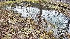 mizubasho6-20250405110031.jpg
