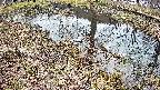 mizubasho6-20250405111031.jpg