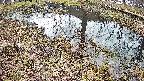 mizubasho6-20250405112029.jpg