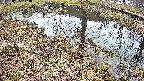 mizubasho6-20250405113029.jpg