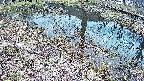 mizubasho6-20250405115029.jpg