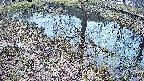 mizubasho6-20250405120030.jpg