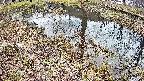 mizubasho6-20250405121031.jpg