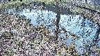 mizubasho6-20250405123032.jpg
