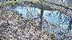 mizubasho6-20250405124028.jpg