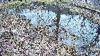mizubasho6-20250405125027.jpg