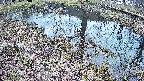 mizubasho6-20250405130030.jpg