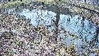 mizubasho6-20250405131028.jpg