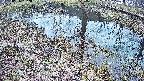mizubasho6-20250405132029.jpg