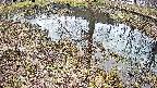 mizubasho6-20250405133029.jpg