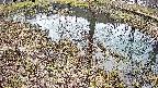 mizubasho6-20250405134029.jpg