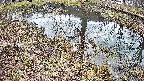 mizubasho6-20250405135027.jpg