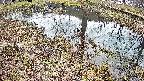 mizubasho6-20250405140030.jpg