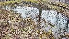mizubasho6-20250405141030.jpg