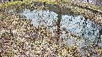 mizubasho6-20250405142028.jpg