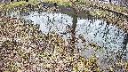 mizubasho6-20250405144029.jpg
