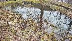 mizubasho6-20250405145029.jpg