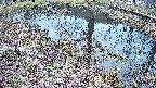 mizubasho6-20250405151030.jpg