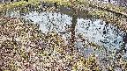 mizubasho6-20250405152030.jpg