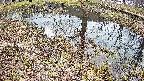 mizubasho6-20250405153030.jpg