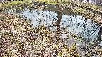 mizubasho6-20250405154031.jpg