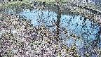 mizubasho6-20250405155029.jpg
