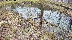 mizubasho6-20250405160029.jpg