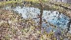 mizubasho6-20250405161028.jpg
