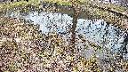 mizubasho6-20250405162028.jpg