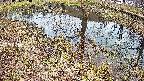 mizubasho6-20250405163031.jpg