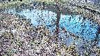 mizubasho6-20250405164031.jpg
