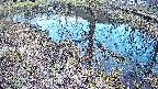 mizubasho6-20250405165032.jpg