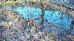 mizubasho6-20250405170028.jpg