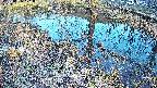 mizubasho6-20250405171029.jpg