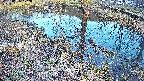 mizubasho6-20250405172029.jpg