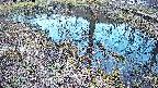 mizubasho6-20250405174030.jpg