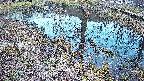 mizubasho6-20250405175030.jpg