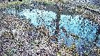 mizubasho6-20250405180030.jpg