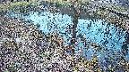 mizubasho6-20250405181031.jpg