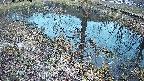 mizubasho6-20250405182030.jpg